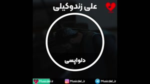 دلواپسی - علی زندوکیلی