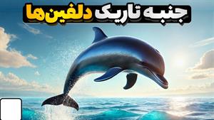 نیمه تاریک و کمتر شناخته‌شده رفتارهای دلفین‌ها در طبیعت