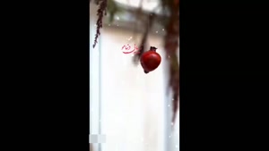 دانلود کلیپ شب یلدا / کلیپ تبریک شب یلدا