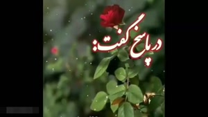کلیپ شاد صبح بخیر / فرجامتان نیک