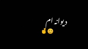 کلیپ شاد برای استوری / کلیپ شاد برای وضعیت واتساپ