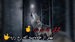 کلیپ لاتی / کلیپ باحال و خفن لاتی