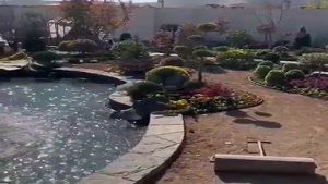 شرکت سمپاشی سبزپوشان آریا