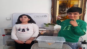 حلزون لرستان