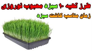 آموزش کاشت ده سبزه محبوب نوروزی 