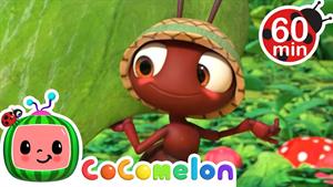 انیمیشن کوکوملون - مورچه ها به راهپیمایی می روند