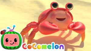 انیمیشن کوکوملون - رقص خرچنگ