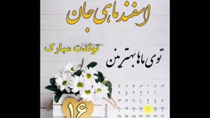 کلیپ تولد 16 اسفند برای استوری 