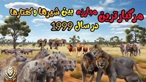 حیات وحش - مرگبارترین مبارزه کفتارها و شیرها 