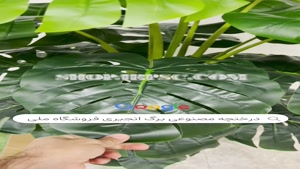 تولید درختچه مصنوعی بابا ادم مدل 12 برگ |فروشگاه ملی