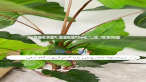 تولید درختچه مصنوعی پرنده بهشتی مدل 180 سانت |فروشگاه ملی