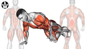 سازماندهی شده ترین تمرین کل بدن برای رشد عضلات.