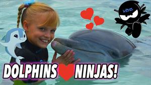 بچه های نینجا - ما با دلفین ها بازی کردیم و شنا کردیم
