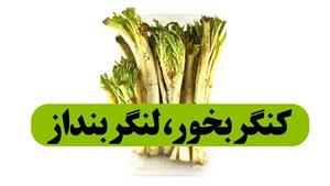 کنگر بخور، خواص بی نظیر کنگر را بشناسید