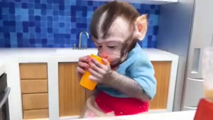 برنامه کودک بچه میمون بامزه با داستان اسموتی میوه 
