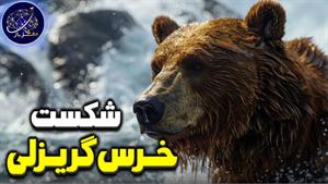 حیواناتی که می توانند خرس گریزلی را شکست دهند