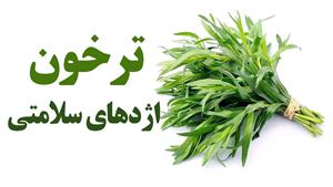 ترخون اژدهای سلامتی