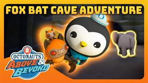 ماجراجویی پیشاهنگی غار خفاش فاکس