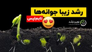 تایم لپس شگفت انگیز از جوانه زدن بذرها