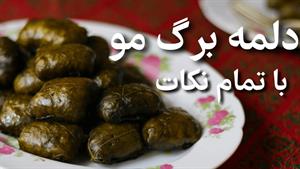 طرز تهیه دلمه ساده خانگی