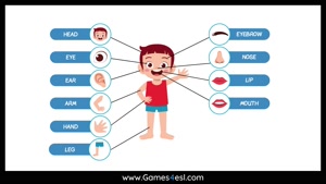Body Parts Vocabulary And Quiz For Kids