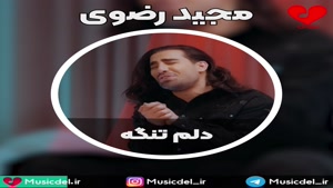 آهنگ جدید مجید رضوی به نام دلم تنگه پخش شد