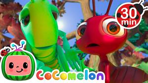 انیمیشن کوکوملون - ماجراهای مورچه و ملخ