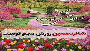 کلیپ تولد 16 اردیبهشت / کلیپ زیبا برای تولد