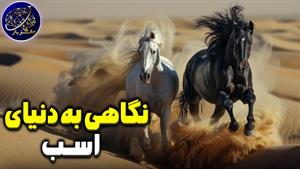 حیات وحش - نگاهی به دنیای اسب ها 