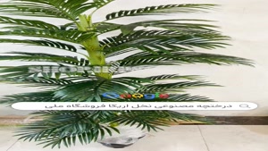 تولید درختچه مصنوعی نخل اریکا | فروشگاه ملی