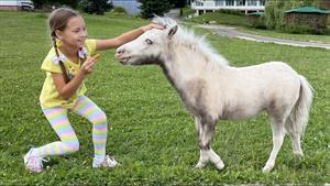 سوفیا در مزرعه راه می رود و به اسب های کوچک غذا می دهد