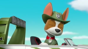 انیمیشن سگهای نگهبان / هاپوها و نجات بچه هامدینگر