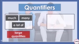 Quantifiers much, many, a little, a few, a lot of