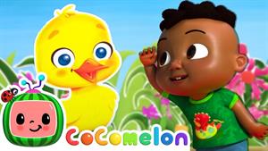 انیمیشن کوکوملون - آهنگ پنهان و جستجو با اردک ها