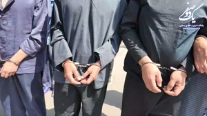 بازداشت 229 سارق و مالخر حرفه ای در تهران توسط پلیس آگاهی