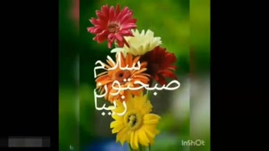  کلیپ زیبای عاشقانه ، مواظب عشقم باش