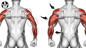 بازوهای ضخیم با عضلات قوی در 2 هفته بدست آورید.