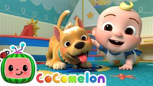 کارتون کوکوملون - آهنگ مراقبت از حیوانات خانگی