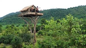 نحوه ساخت خانه روی درخت 12 متری و استخر 
