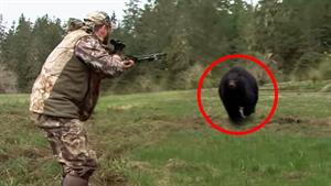 14 لحظه شکار و تعقیب شکار توسط حیوانات وحشی
