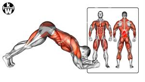 تمرینات کل بدن برای رشد متعادل عضلات
