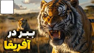 اگر ببرها را به ساوانای آفریقا ببریم چه اتفاقی میفته؟