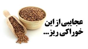 خواص عجیب این خوراکی ریز که شمارا حیرت زده می کند / عدس