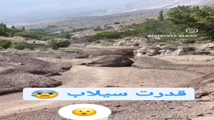 قدرت واقعی سیل اینطوریه