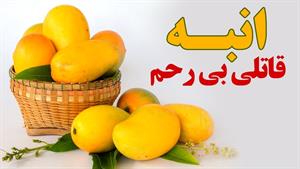 مضرات زیاد خوردن انبه / خواص انبه / ویدئو مخصوص انبه خورها 