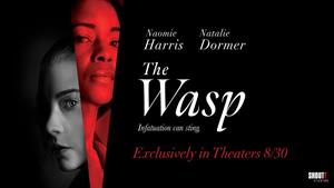 دانلود فیلم هیجان انگیز The Wasp 2024 زنبور در سایت upko.ir