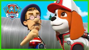 rayder_pawpatrol