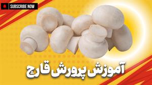 هنر پرورش قارچ؛ لذت خلق یک دنیای کوچک