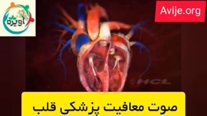 معافیت پزشکی قلب و عروق