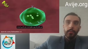 آیا امکان دریافت معافیت پزشکی بیماری آلرژی در حین تحصیل وجود